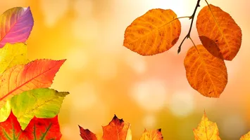  Valuri de aer rece în plină vară: temperaturi apropiate de 0 grade în România, în august