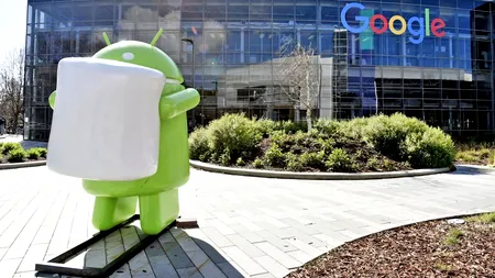 Google își face Universitate, iar cursurile durează puțin