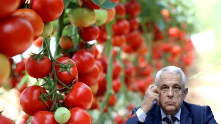 Se mai justifică „Tomata”? Plus de 22% la producția internă și de 30% la importuri, în șase ani