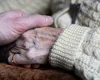 Un medicament „miraculos” pentru Alzheimer întârzie progresia bolii cu patru ani