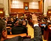 Cine sunt deputații din grupul minorităților care, deocamdată, n-ar vota cabinetul Veștea