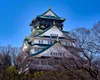 Zece zile în Japonia pe banii publici: cum au justificat șefii CJ Iași deplasarea: te apucă râsul