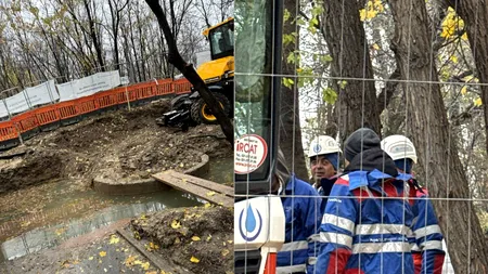 Intervenție APA Nova în parcul Herăstrău. “Toate evenimentele sunt tratate în regim de urgență”