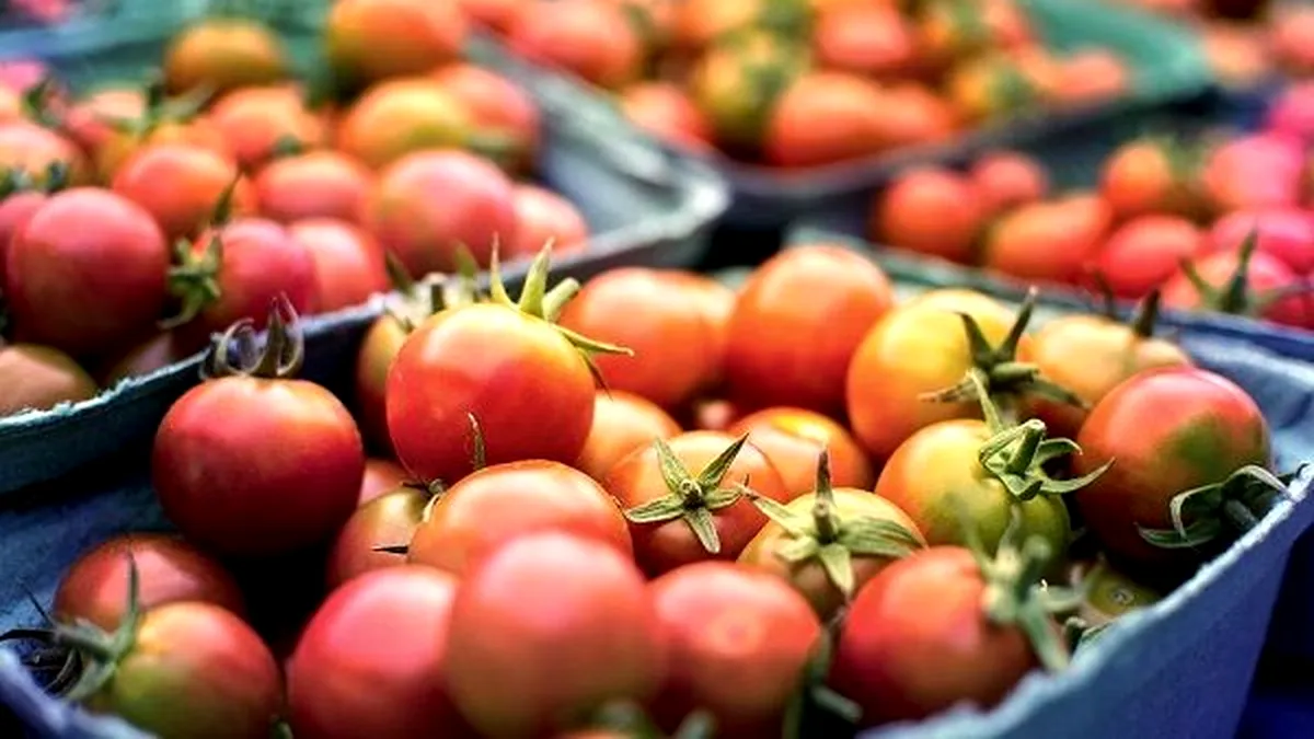 Scandalul roșiilor cu pesticid, tranșat de procurorii buzoieni: „Sunt bune de mâncat”