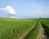 Amendă de 15.000 lei pentru un fermier care a împrăștiat gunoi pe un teren agricol. Motivul, disconfortul olfactiv