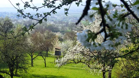 Meteorologii ANM au emis prognoza pe termen lung: Cum va fi vremea de Florii și de Paște
