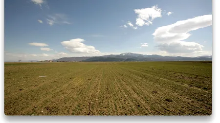 Cum depinde agricultura mondială de Rusia și Belarus