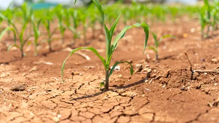 Comisia Europeană: Aproximativ 46% din teritoriul Uniunii Europene este amenințat de secetă!