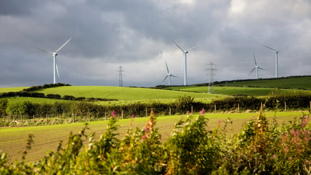 Greenpeace, apel pentru sprijinirea prosumatorilor și proiectelor de energie regenerabilă