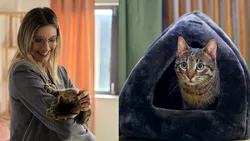 Diana Buzoianu și-a mărit echipa de la  Ministerul Mediului cu o …pisică