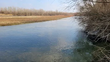 Poluare pe un important râu din România. Autorităţile, în alertă după ce au fost descoperiţi peşti morţi (FOTO)