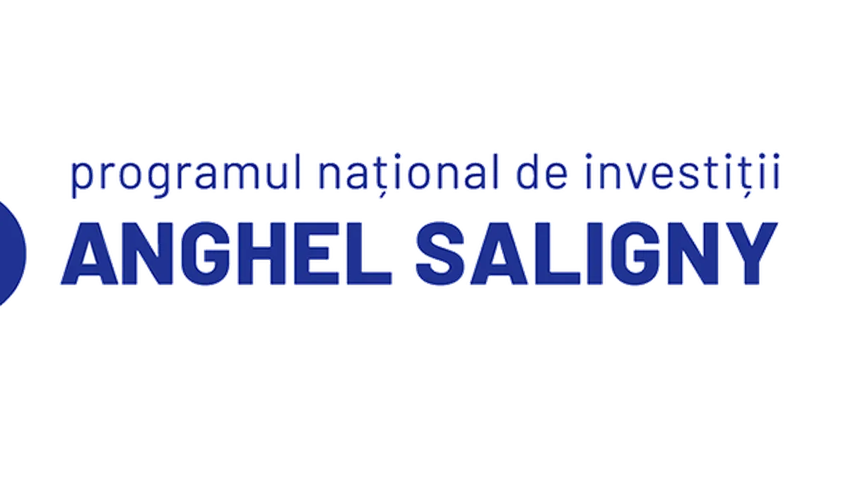 Cum vinde Ministerul Dezvoltării blana ursului din pădure prin programul Anghel Saligny