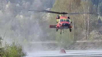 Incendiu de vegetație în Argeș: mobilizare masivă de forțe pentru stingerea flăcărilor din zona Cetățeni