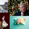Top 10 evenimente care au marcat 2025. De la revenirea lui Trump la putere, la jafuri și fenomene meteo extreme