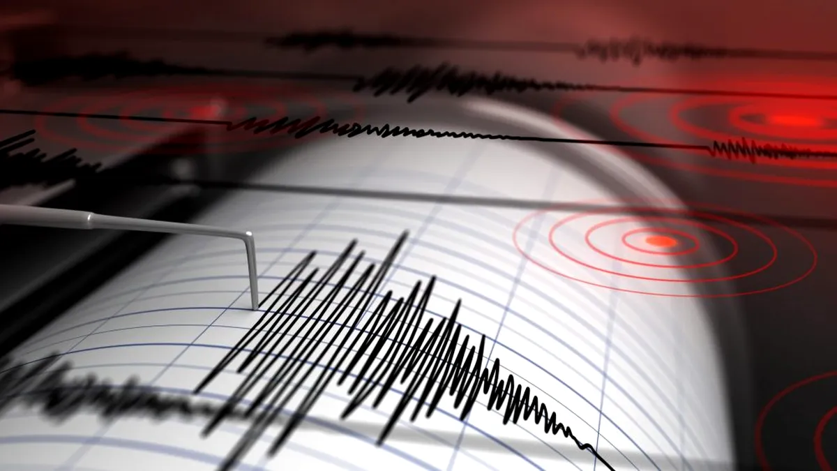 Cutremur în Vrancea, în primele ore ale acestui an