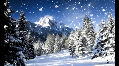 Ninge ca în povești! Care sunt cele mai cunoscute creații literare unde găsim peisaj de iarnă