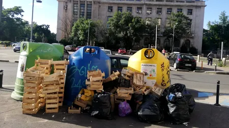 Criza gunoiului continuă în Sector 1, soluțiile întârzie