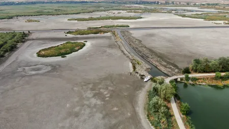 Imagini dramatice din Delta Neajlovului: Parcul Natural Comana, aproape secat din cauza secetei severe