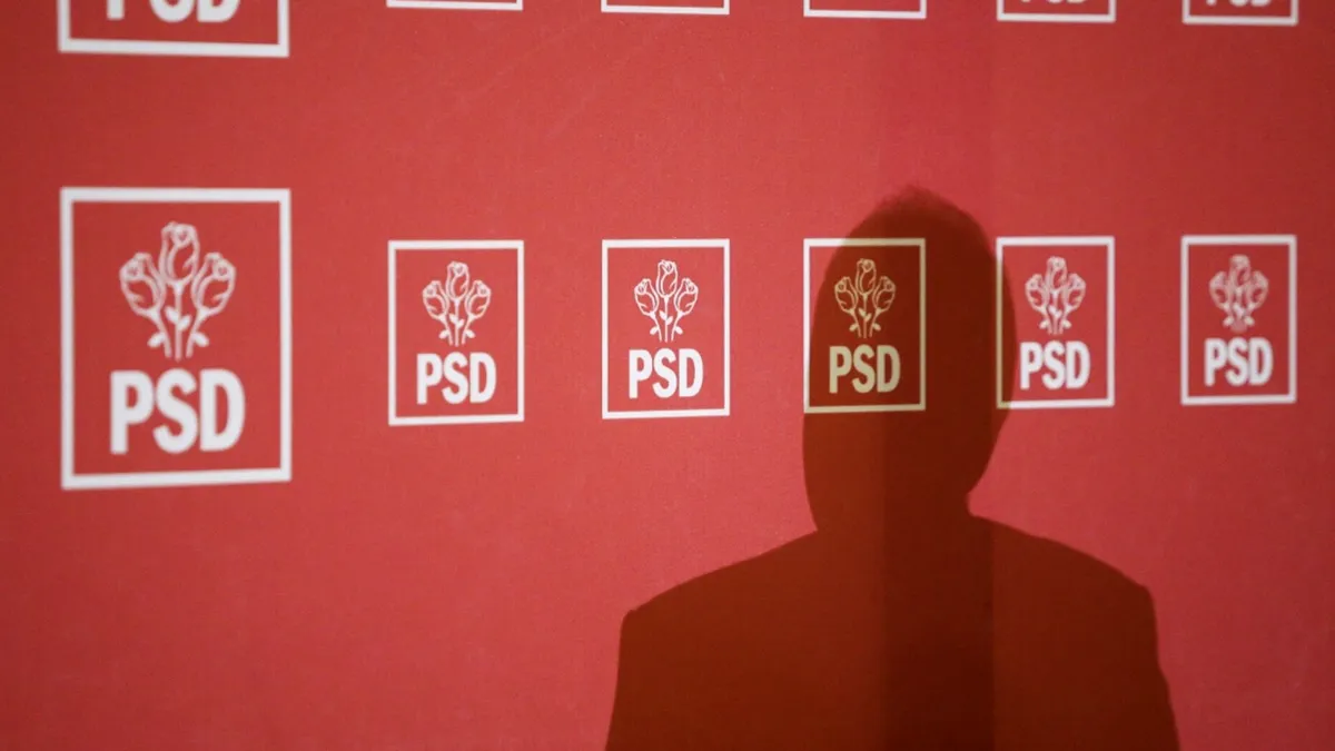 Cine este vicepreședintele PSD cercetat de ANI