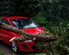 Mașina ta a fost avariată de furtună? Cum poți primi despăgubiri