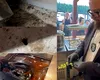 Piedone face ravagii pe litoral. A găsit gândaci, mucegai, mizerie și alimente expirate