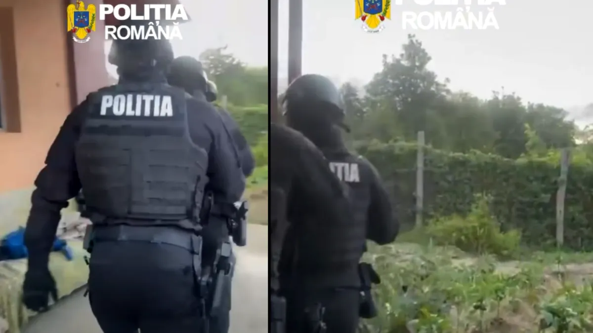 1,5 milioane de lei din escrocherii internaționale. Rețea de spălare de bani, destructurată în Timiș și Vâlcea