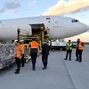 Premieră pentru România: peste 4.000 de ovine au fost transportate cu avionul în Algeria (VIDEO)
