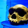 Cine a fost „Omul Dragon”?  Craniul de un milion de ani care ar putea dovedi legătura directă cu Homo Sapiens!