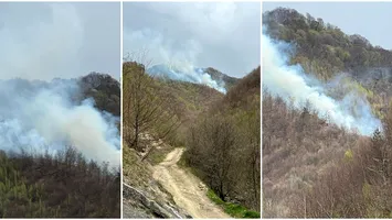 Incendiu de pădure în Argeş. Se intervine cu elicopterul Black Hawk (VIDEO)