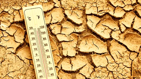 Greenpeace România, despre ritmul de implementare al strategiilor climatice: Viteza e proastă, chiar dacă direcția e bună