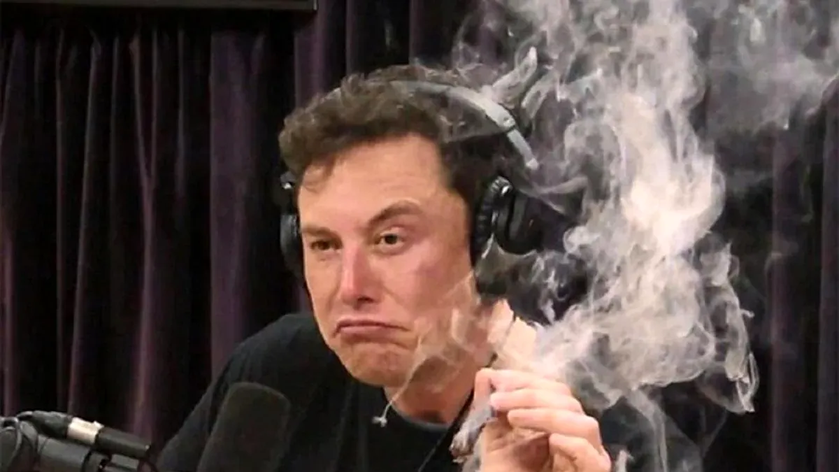 Diagnostic corect, soluție greșită: Elon Musk a scris un articol despre cum să salvezi Germania. A vorbit despre democrație, lesbianism și Hitler