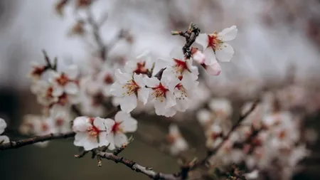 Prognoza meteo pentru aprilie 2025. Se anunță o vară întârziată