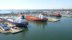 ANCOM a eșuat catastrofal în Portul Constanța: doar 14 controale în 5,5 ani, în timp ce la Timișoara s-au făcut 508