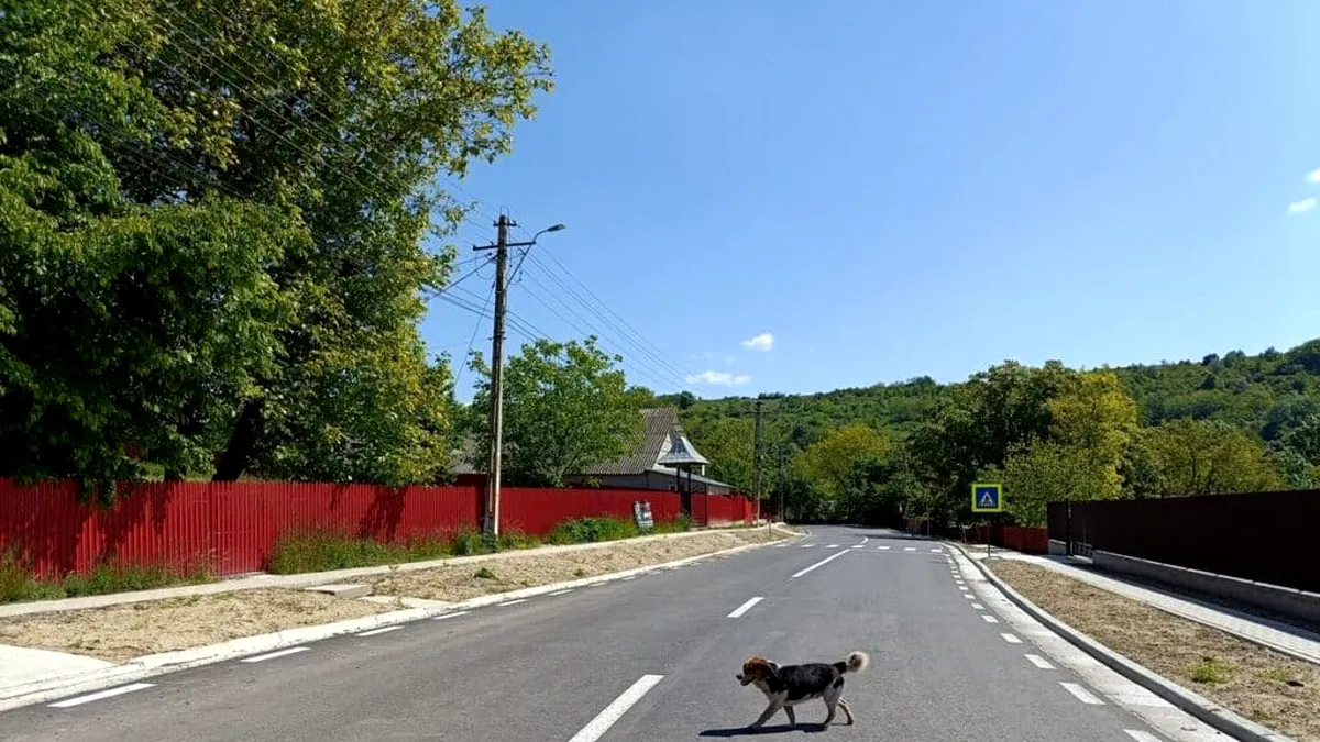 Primăriile-fantomă dintr-un județ, care costă aproape 40 de milioane de euro pe an