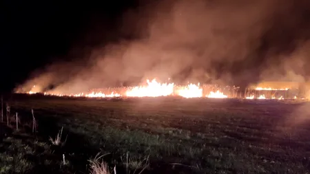 În sudul Franței, peste 3.000 de persoane au fost evacuate din cauza incendiului