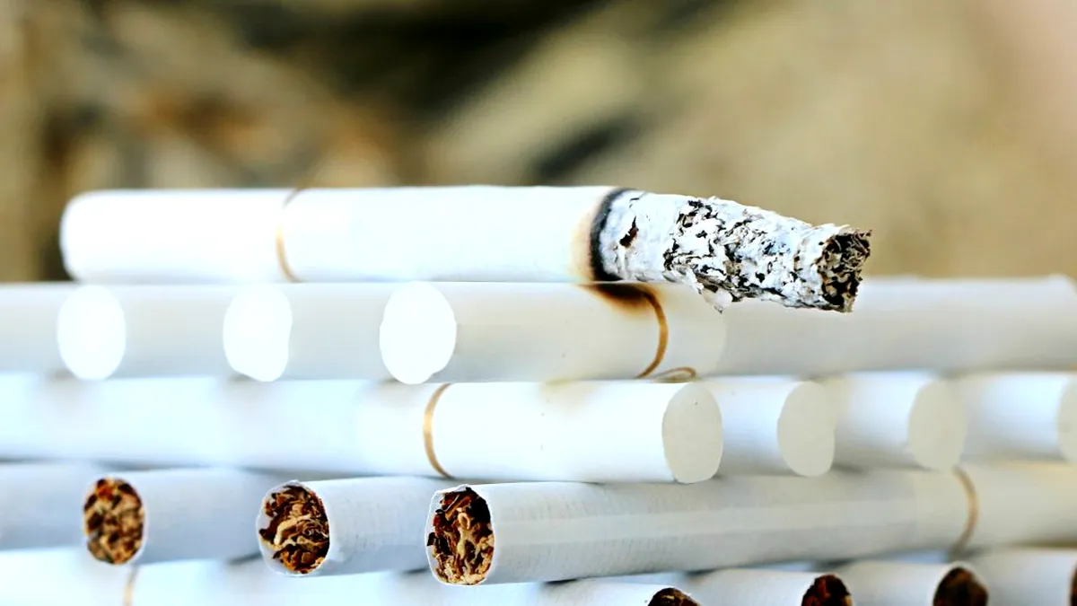 ANALIZĂ România este al doilea producător de țigarete din Uniunea Europeană, după Polonia. Țigările au devenit adrenalină la buget