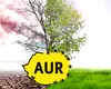 AUR vrea monitorizare și avertizare, în timp real, a poluării aerului în România