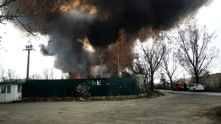 Incendiu puternic la un centru de colectare și reciclare deșeuri din Glina