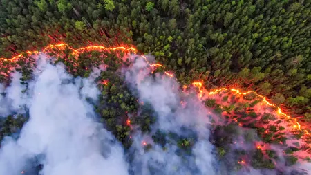 Fumul toxic din Siberia se răspândește din cauza incendiilor de vegetație