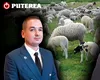 Ministrul UDMR al Agriculturii, Barna Tanczos, noul aliat împotriva ciobanilor al șefului ANSVSA, Alexandru Bociu