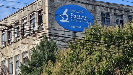 Institutul Pasteur, o instituție de cercetare în declin: de la pionierat în Europa la doi angajați și pierderi financiare majore