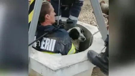 Un câine căzut într-o fântână de 27 de metri adâncime a fost salvat de pompieri