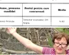 Pensionare, bonus și revenire pe post prin concurs: Manevra unei directoare de la o Direcție Silvică din ţară