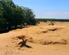 Sudul țării moare lent: Deșertificare masivă, ultimatum pentru România verde