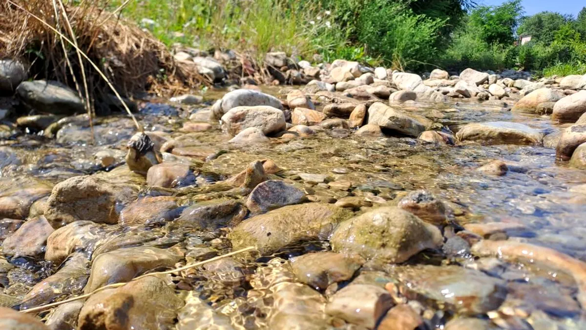 Unul din cele mai mari bazine hidrografice din țară, afectat de caniculă și lipsa ploilor