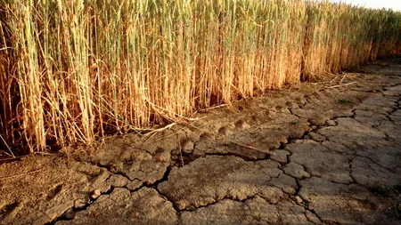 Seceta lovește Europa de Sud: temperaturile record și lipsa precipitațiilor pun agricultura în pericol