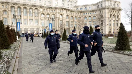 Incident grav: Un irlandez beat a ajuns în interiorul Palatului Parlamentului după ce a spart un geam al clădirii