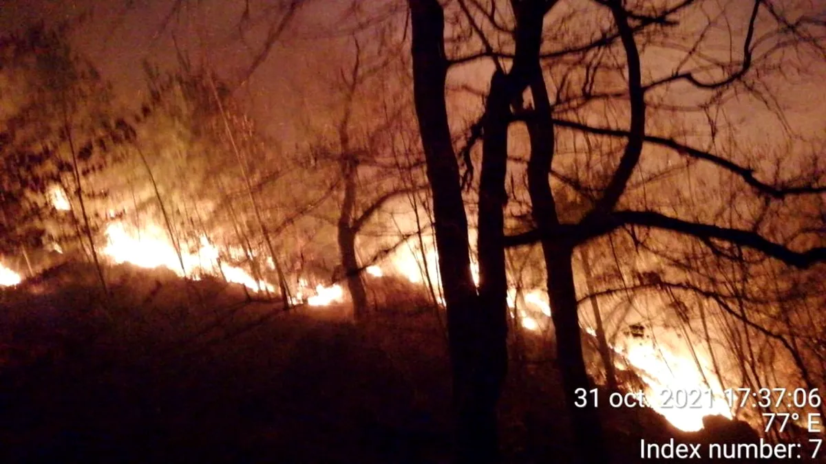 Pădurea de la Oituz arde de cinci zile. Incendiul s-a extins pe 28 de hectare