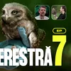 Pajiști, ecoducte și infrastructură critică: trei modele prin care România își protejează biodiversitatea