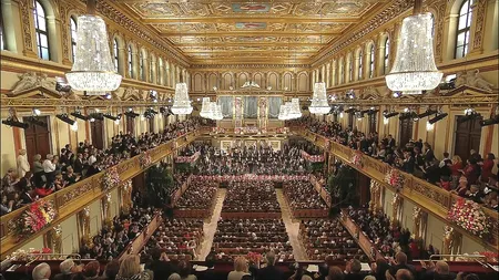 MDLPA: Aproape 270 de milioane de lei vor fi alocaţi pentru 65 de instituţii publice de spectacole